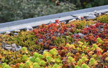 the cost of Bondstones green roof installation